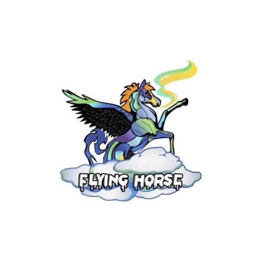 flyinghorsecartss.com