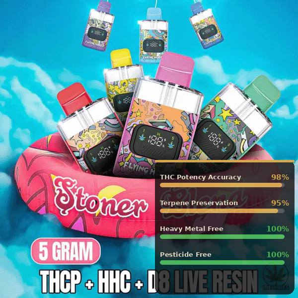 flyinghorsecartss.com