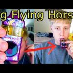 flyinghorsecartss.com